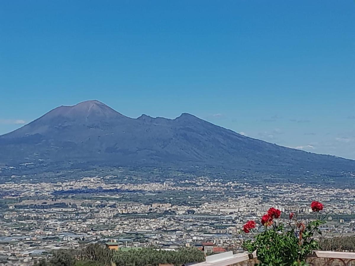 La Vigna Del Vento Bed and Breakfast Casola di Napoli Eksteriør billede