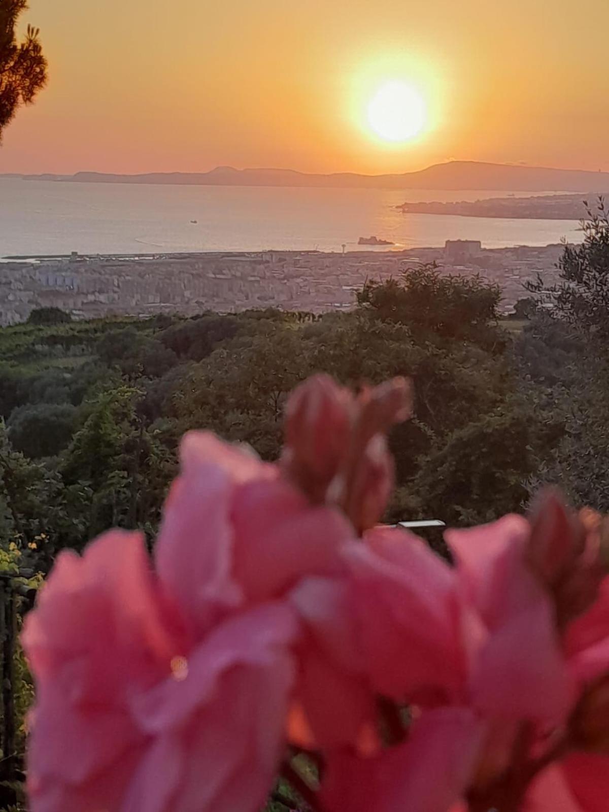 La Vigna Del Vento Bed and Breakfast Casola di Napoli Eksteriør billede