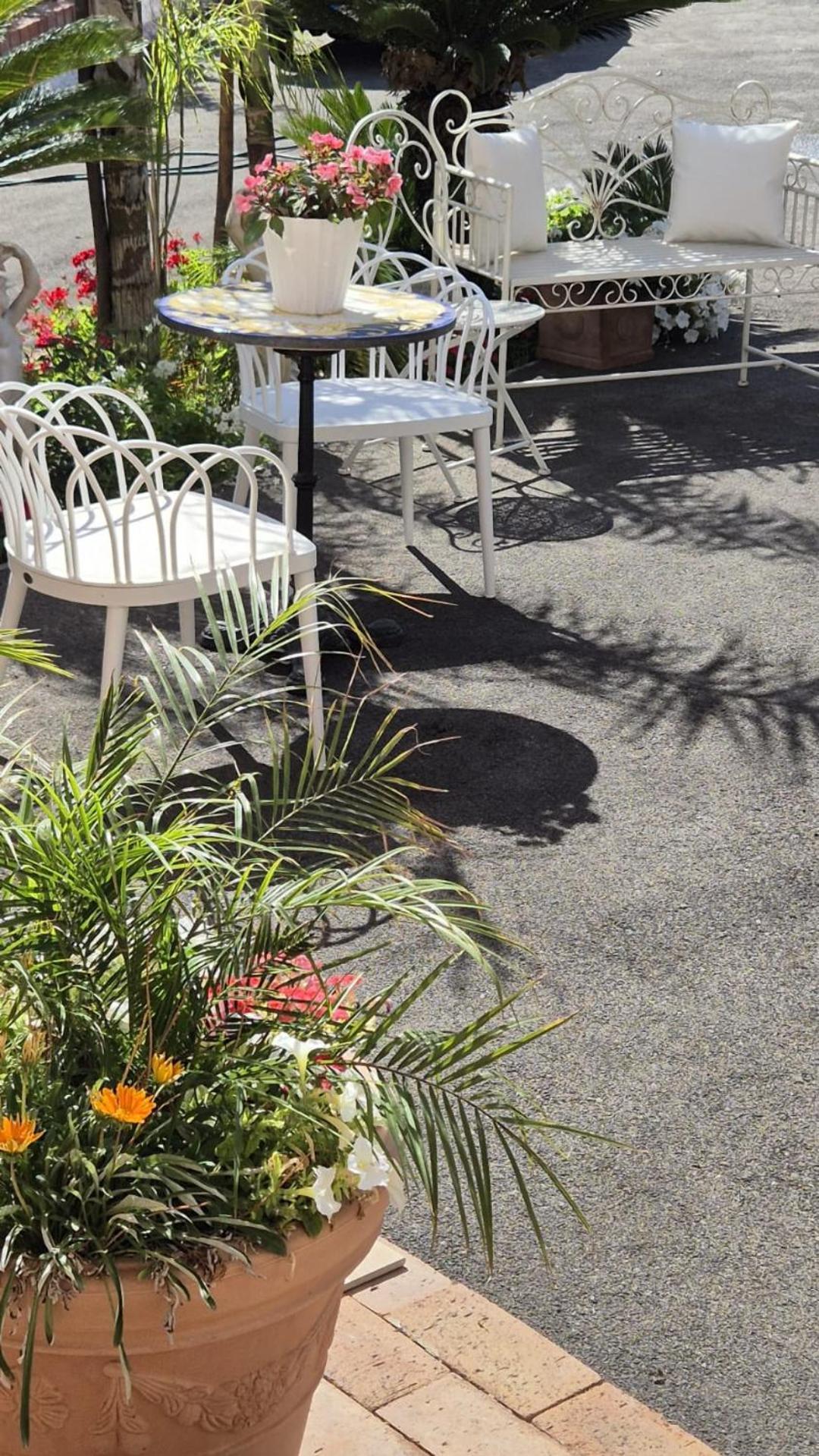 La Vigna Del Vento Bed and Breakfast Casola di Napoli Eksteriør billede