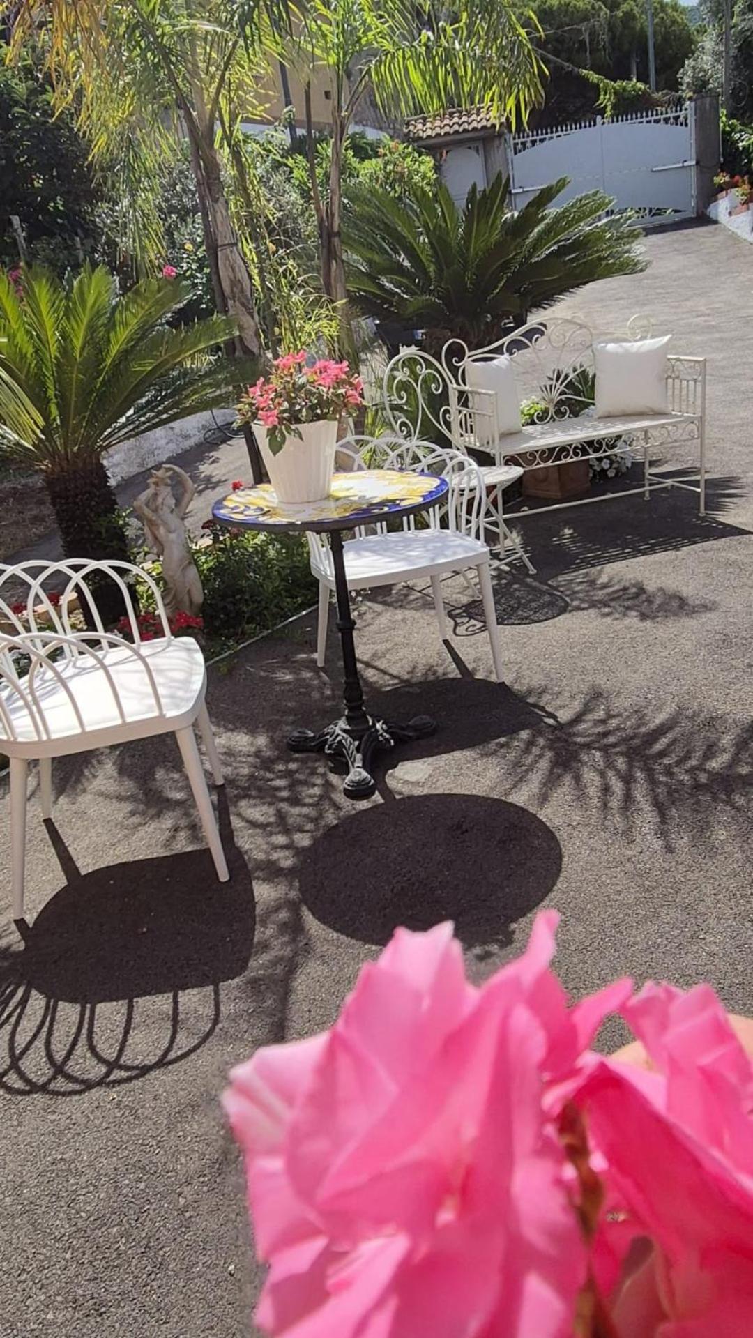 La Vigna Del Vento Bed and Breakfast Casola di Napoli Eksteriør billede